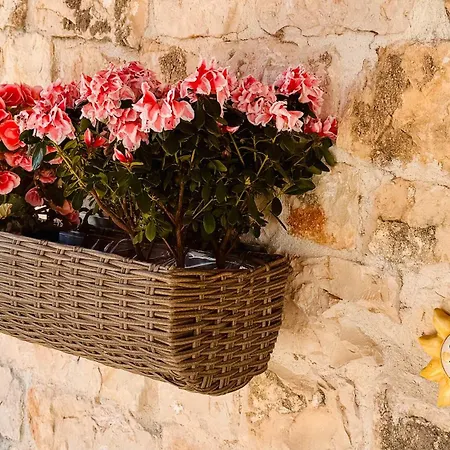 Trullo Rudy Holiday home Martina Franca